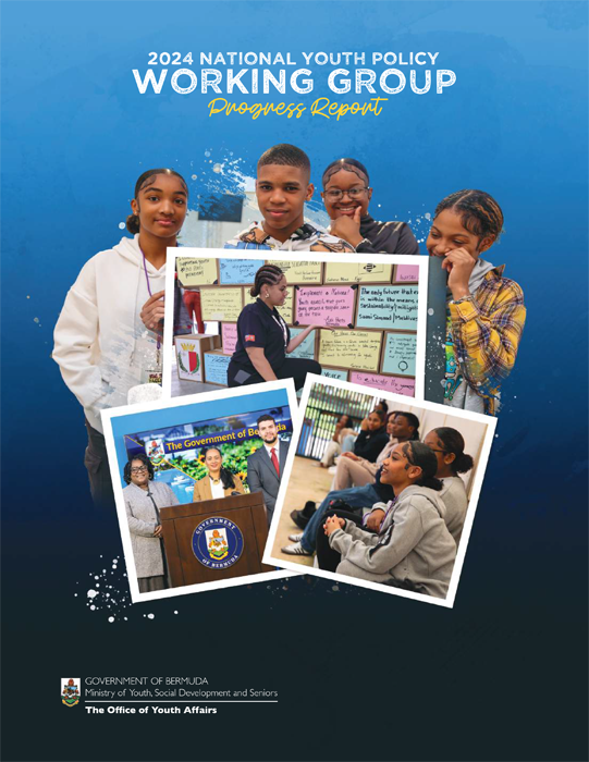 NYP Report image