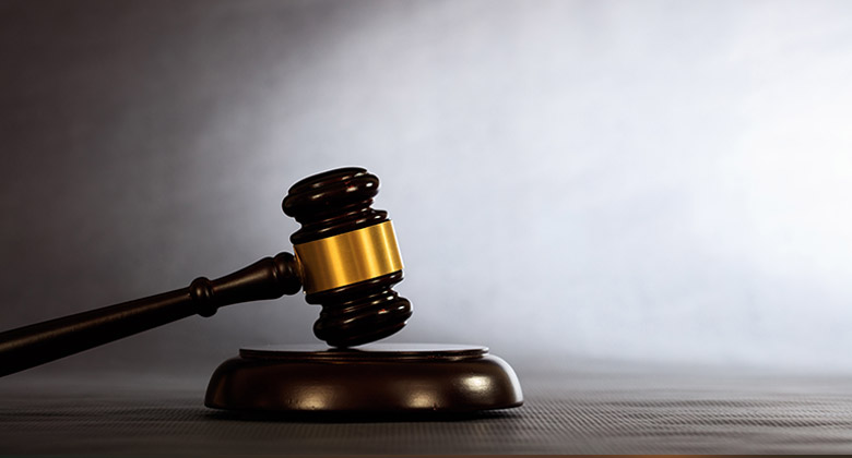 The Judiciary