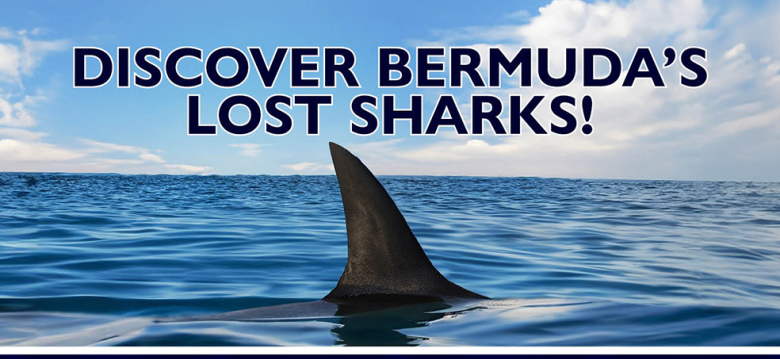 Shark Country Free Screening