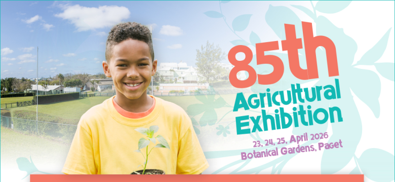 EXHIBITION 2026