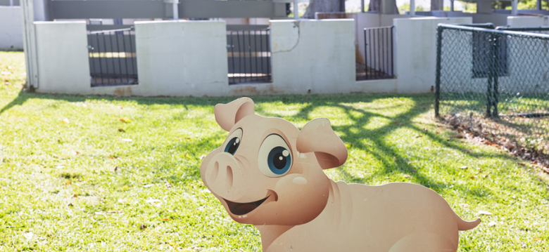 Pig Ag Show