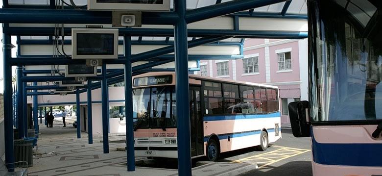 Bermuda buses
